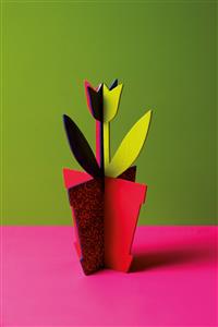 IMAGE LUXURUANCE3925