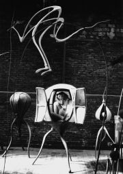 Architecture en uniforme à la Cité de l’Architecture et du Patrimoine