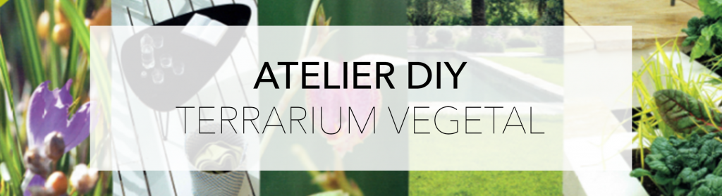 atelier diy terrarium