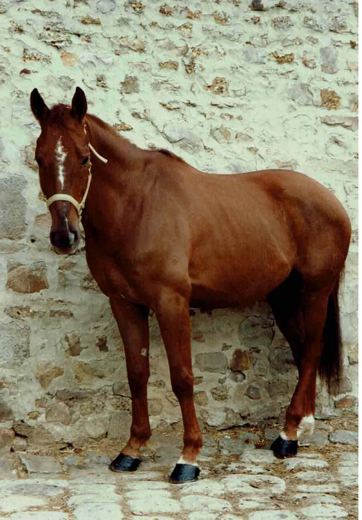 interview Laurence mmi-deco