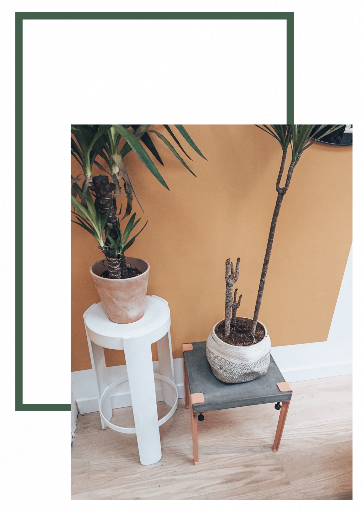 tiptoe collection 2018