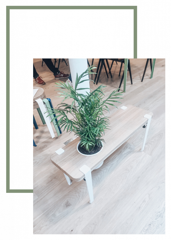 tiptoe collection 2018